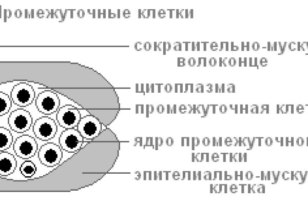 Вывести деньги с кракена