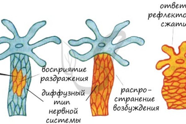 Кракен маркетплейс kr2web in